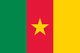 Flag of Cameroon