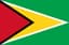 Flag of Guyana